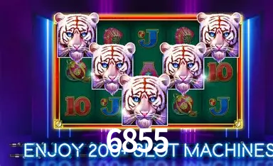 Exclusive Offers 6855